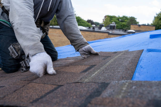 Best Storm Damage Roof Repair  in Pleasant Hill, TX