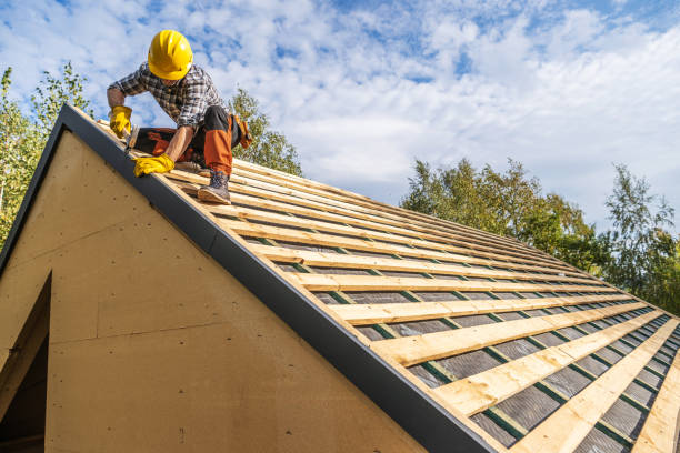 Best Roof Gutter Cleaning  in Pleasant Hill, TX
